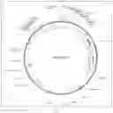 Fig. 06 - SYSTEM AND METHODS FOR THE BIOCONTROL OF PLANT PATHOGENS