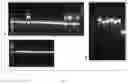 Fig. 09 - SYSTEM AND METHODS FOR THE BIOCONTROL OF PLANT PATHOGENS