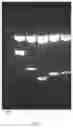 Fig. 10 - SYSTEM AND METHODS FOR THE BIOCONTROL OF PLANT PATHOGENS
