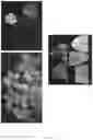 Fig. 16 - SYSTEM AND METHODS FOR THE BIOCONTROL OF PLANT PATHOGENS