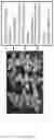 Fig. 19 - SYSTEM AND METHODS FOR THE BIOCONTROL OF PLANT PATHOGENS