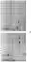 Fig. 16 - Immunomodulating transgenic plants and related methods