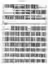 Fig. 02 - Tobacco having altered leaf properties and methods of making and using