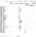 Fig. 06 - Vector for targeting the human Rosa26 gene