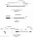 Fig. 03 - Particle for the encapsidation of a genome engineering system