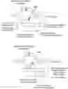 Fig. 01 - METHODS AND COMPOSITIONS FOR RNA-DIRECTED TARGET DNA MODIFICATION AND FOR RNA-DIRECTED MODULATION OF TRANSCRIPTION