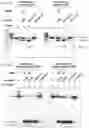 Fig. 51 - METHODS AND COMPOSITIONS FOR RNA-DIRECTED TARGET DNA MODIFICATION AND FOR RNA-DIRECTED MODULATION OF TRANSCRIPTION