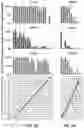 Fig. 05 - Using truncated guide RNAs (tru-gRNAs) to increase specificity for RNA-guided genome editing