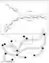 Fig. 02 - METHOD FOR THE ENZYMATIC SACCHARIFICATION OF A POLYSACCHARIDE