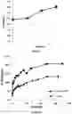 Fig. 06 - METHOD FOR THE ENZYMATIC SACCHARIFICATION OF A POLYSACCHARIDE