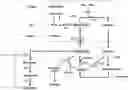Fig. 01 - Increasing ornithine accumulation to increase high mannose glycoform content of recombinant proteins