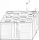 Fig. 01 - Cell culturing structure including growth medium and non-growth medium