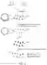 Fig. 06 - Probe set for analyzing a DNA sample and method for using the same