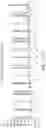 Fig. 22 - Methods and compositions for incorporating nucleotides