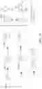 Fig. 25 - Methods and compositions for incorporating nucleotides