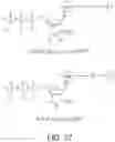 Fig. 35 - Methods and compositions for incorporating nucleotides