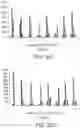 Fig. 40 - Methods and compositions for incorporating nucleotides