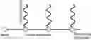 Fig. 01 - Multi-sequence capture system