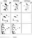 Fig. 06 - Multi-sequence capture system