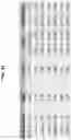 Fig. 53 - Biomarker pairs for predicting preterm birth