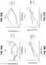Fig. 57 - Biomarker pairs for predicting preterm birth