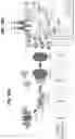 Fig. 58 - Biomarker pairs for predicting preterm birth