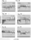 Fig. 08 - COMPOSITIONS AND METHODS FOR DETECTING PREDISPOSITION TO A SUBSTANCE USE DISORDER