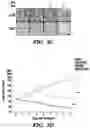 Fig. 10 - CANCER TREATMENTS AND METHODS OF SELECTING SAME