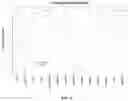 Fig. 04 - System and method for determining Cetuximab sensitivity on gastric cancer