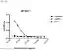 Fig. 02 - Composition for detecting potato virus Y including M13KO7 bacteriophage and kit including the same