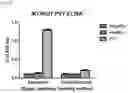 Fig. 05 - Composition for detecting potato virus Y including M13KO7 bacteriophage and kit including the same