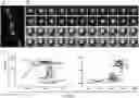 Fig. 01 - Recombinant and use thereof