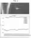 Fig. 03 - Creep resistant titanium alloys