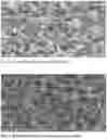Fig. 02 - Process for producing nanostructured metal substrates for use in Surface Enhanced Raman Spectroscopy or similar applications