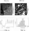 Fig. 02 - Ordered nanotubes on a two-dimensional substrate consisting of different material properties