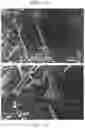 Fig. 12 - Ordered nanotubes on a two-dimensional substrate consisting of different material properties