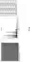 Fig. 13 - COATING METHOD OF APATITE USING LASER