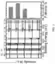 Fig. 04 - Artificial solid electrolyte interphase layers