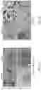 Fig. 16 - Artificial solid electrolyte interphase layers