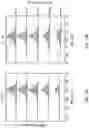 Fig. 23 - Artificial solid electrolyte interphase layers