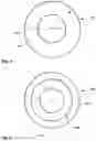 Fig. 02 - Silicon carbide substrate and method of growing SiC single crystal boules