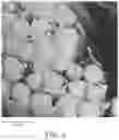 Fig. 04 - MULTICOMPONENT FILAMENTS AND ARTICLES THEREOF