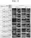 Fig. 10 - Washing machine and control method therefor