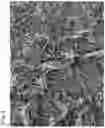 Fig. 02 - Napped artificial leather