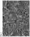 Fig. 03 - Napped artificial leather