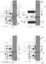 Fig. 06 - System for fixing to the ground walls of buildings