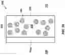 Fig. 07 - Multifunctional system for passive heat and water management