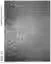 Fig. 14 - Luxury LED glass wall
