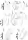 Fig. 04 - Ram block inner seal assembly and seal therefore