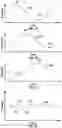 Fig. 11 - Pressure exchanger pressure oscillation source